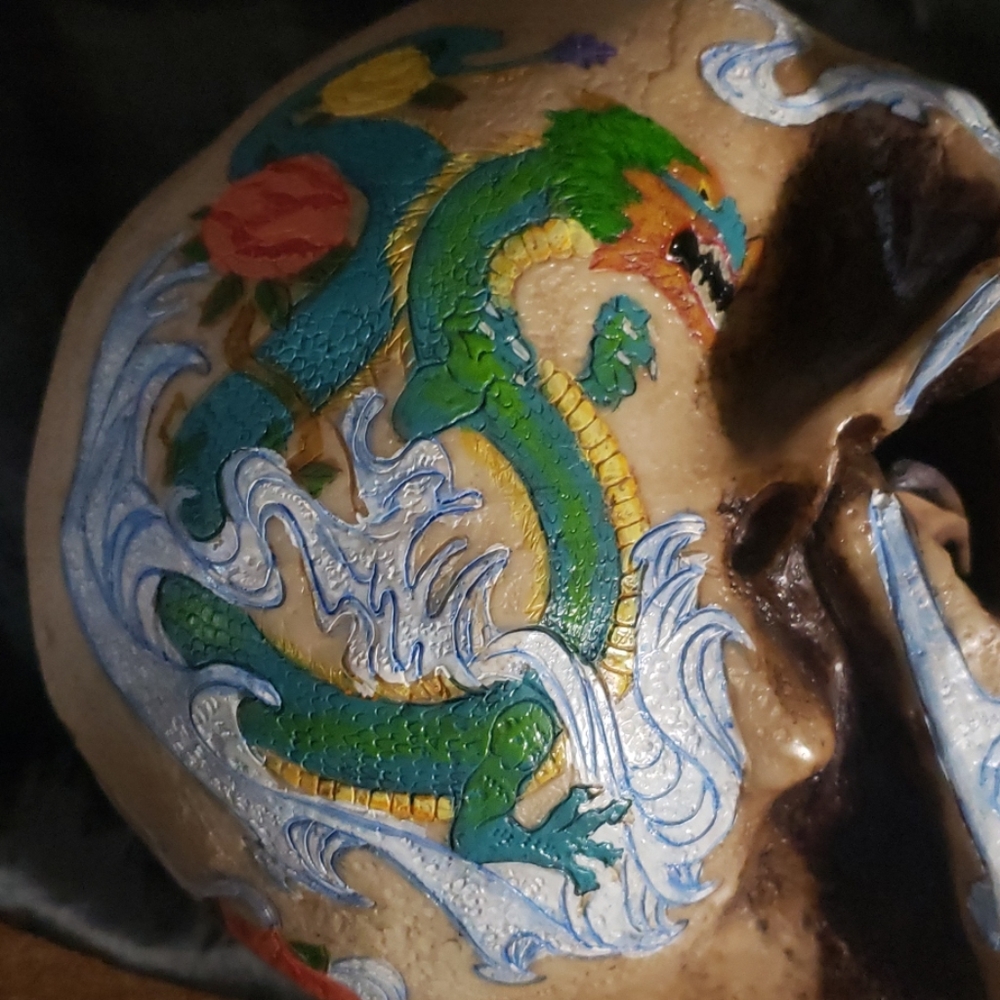Painted Skull - Picture 7 of 8